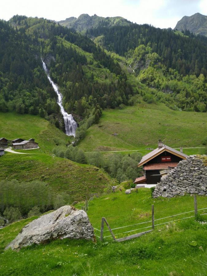 Appartamento Panorama Wohung Hollersbach im Pinzgau Esterno foto
